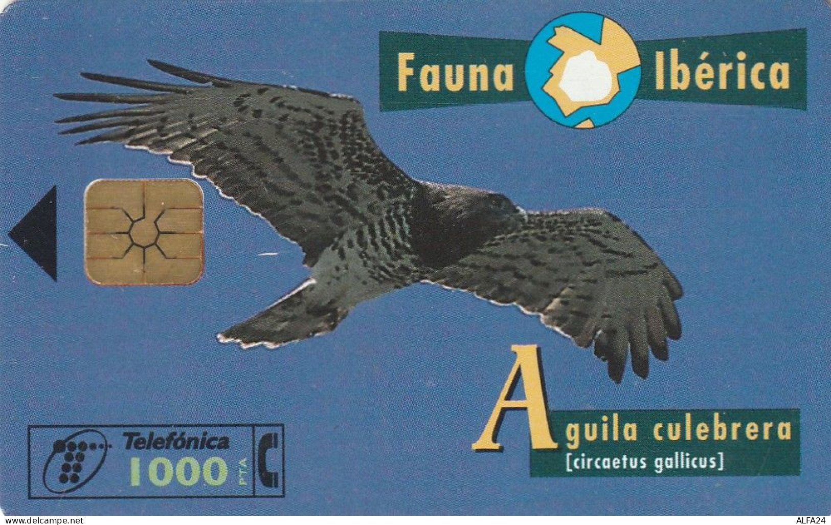 PHONE CARD SPAGNA FAUNA IBERICA  (CV6900 - Emissioni Di Base