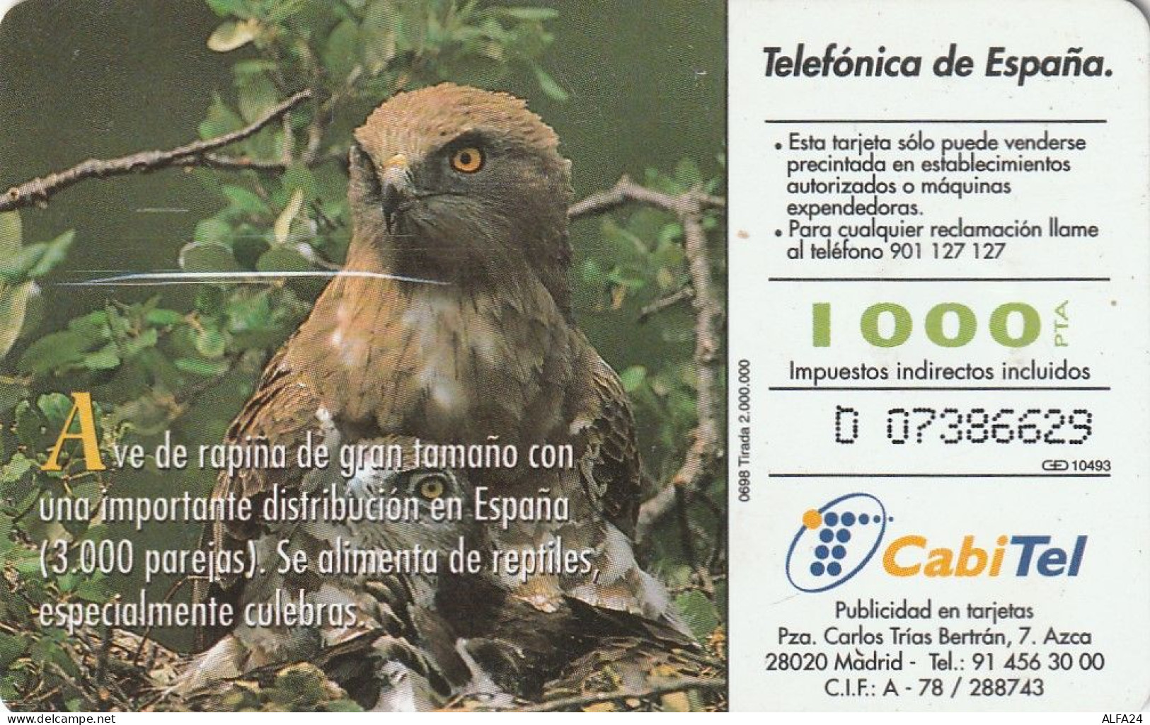 PHONE CARD SPAGNA FAUNA IBERICA  (CV6900 - Emissioni Di Base