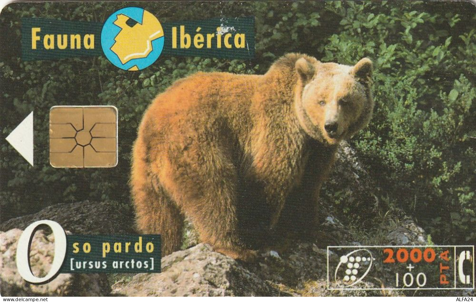 PHONE CARD SPAGNA FAUNA IBERICA  (CV6896 - Emissions Basiques