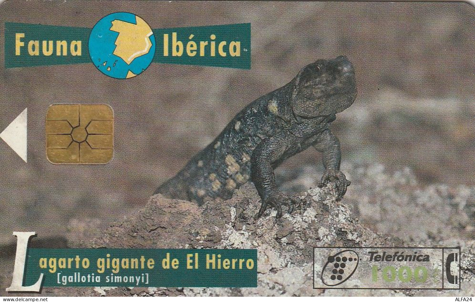 PHONE CARD SPAGNA FAUNA IBERICA  (CV6899 - Emissioni Di Base