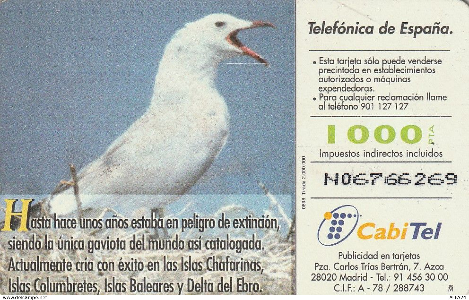 PHONE CARD SPAGNA FAUNA IBERICA  (CV6895 - Emissioni Di Base