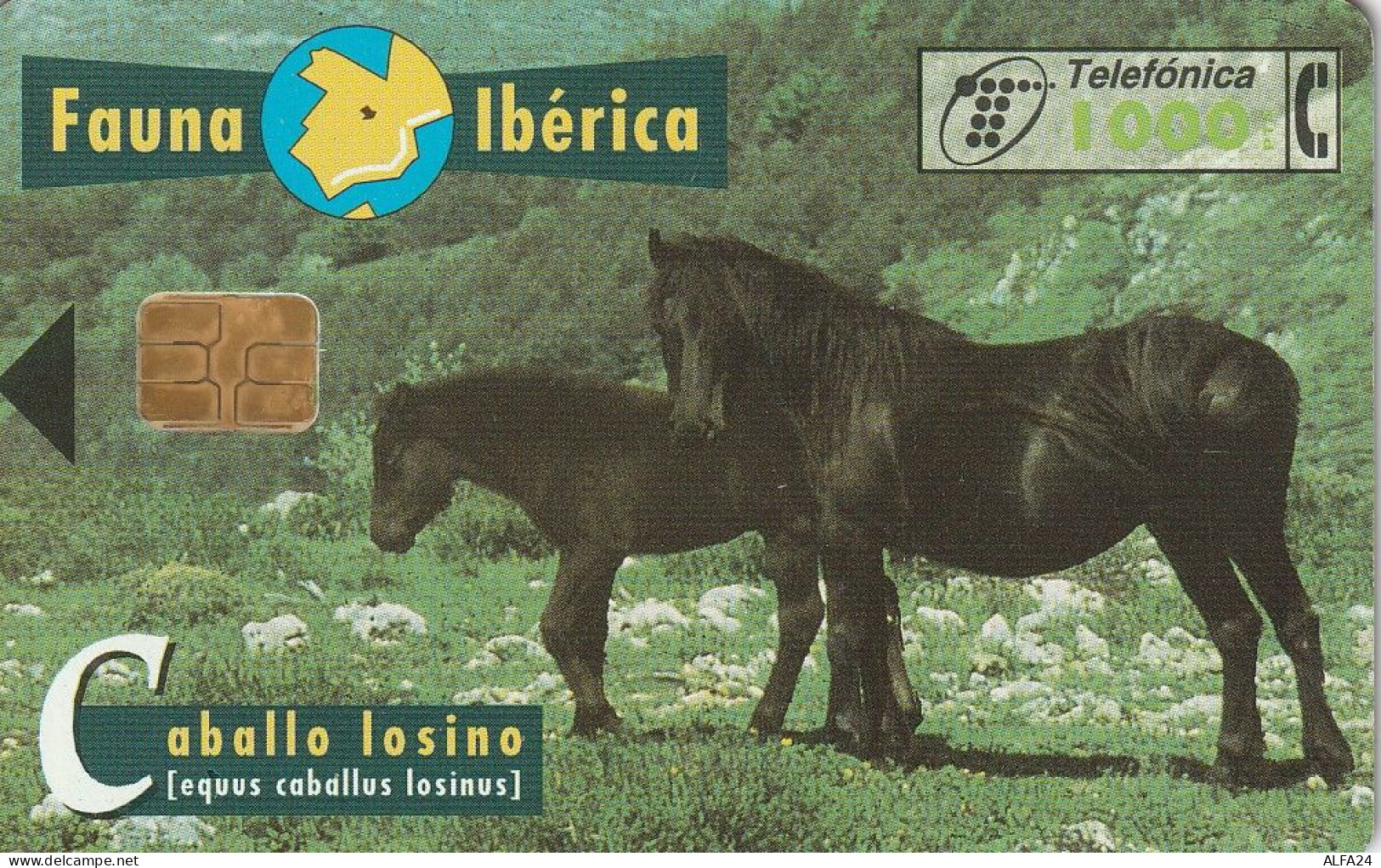 PHONE CARD SPAGNA FAUNA IBERICA  (CV6897 - Emissioni Di Base