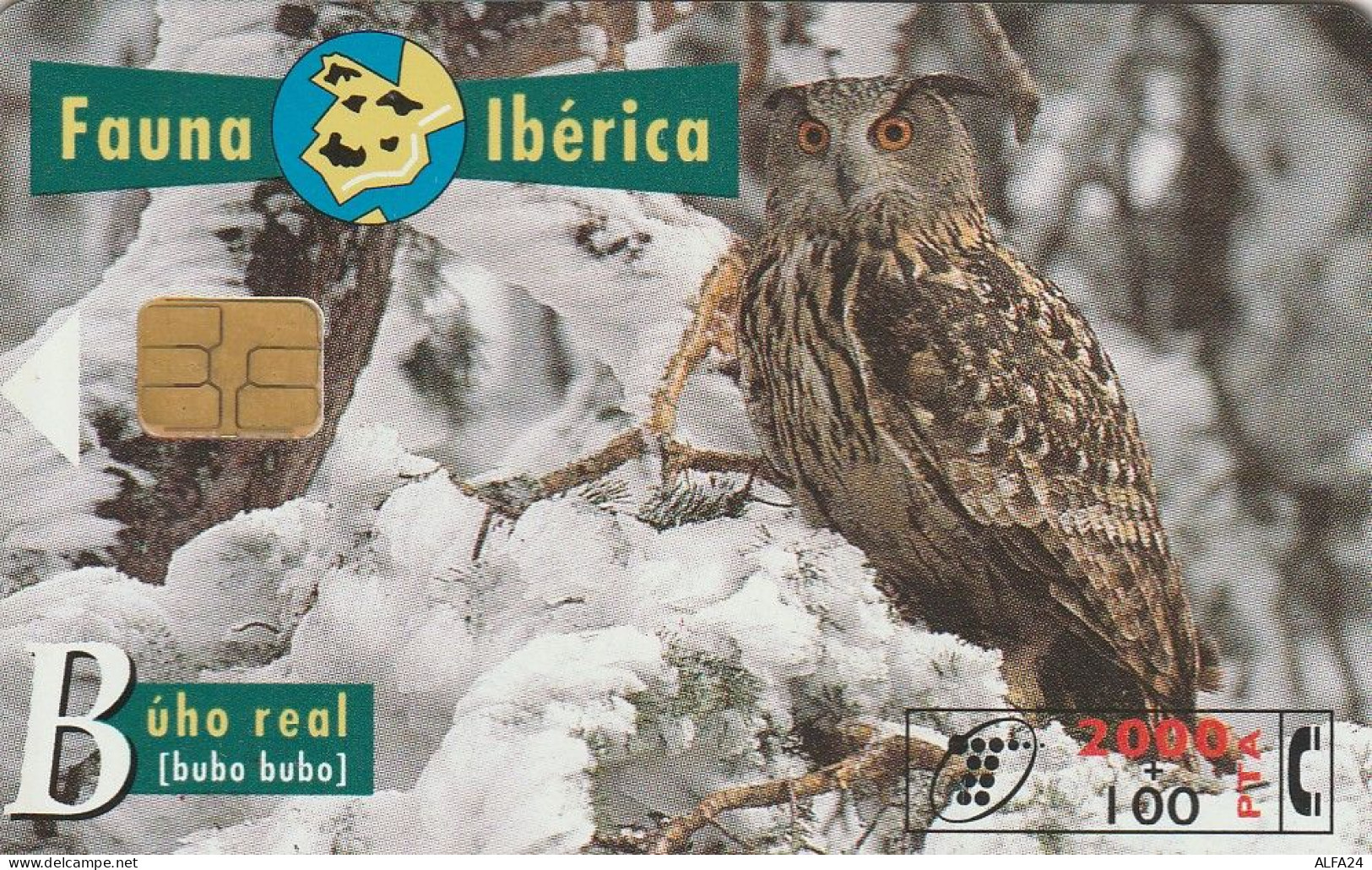 PHONE CARD SPAGNA FAUNA IBERICA  (CV6891 - Emissioni Di Base