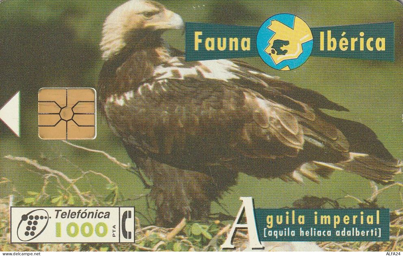 PHONE CARD SPAGNA FAUNA IBERICA  (CV6887 - Emisiones Básicas