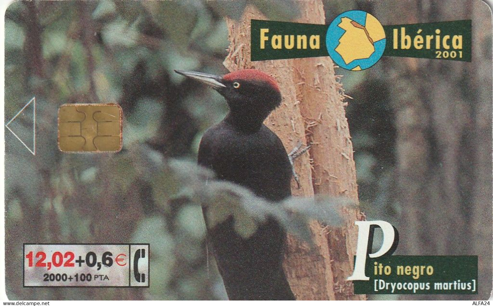 PHONE CARD SPAGNA FAUNA IBERICA  (CV6890 - Emissioni Di Base