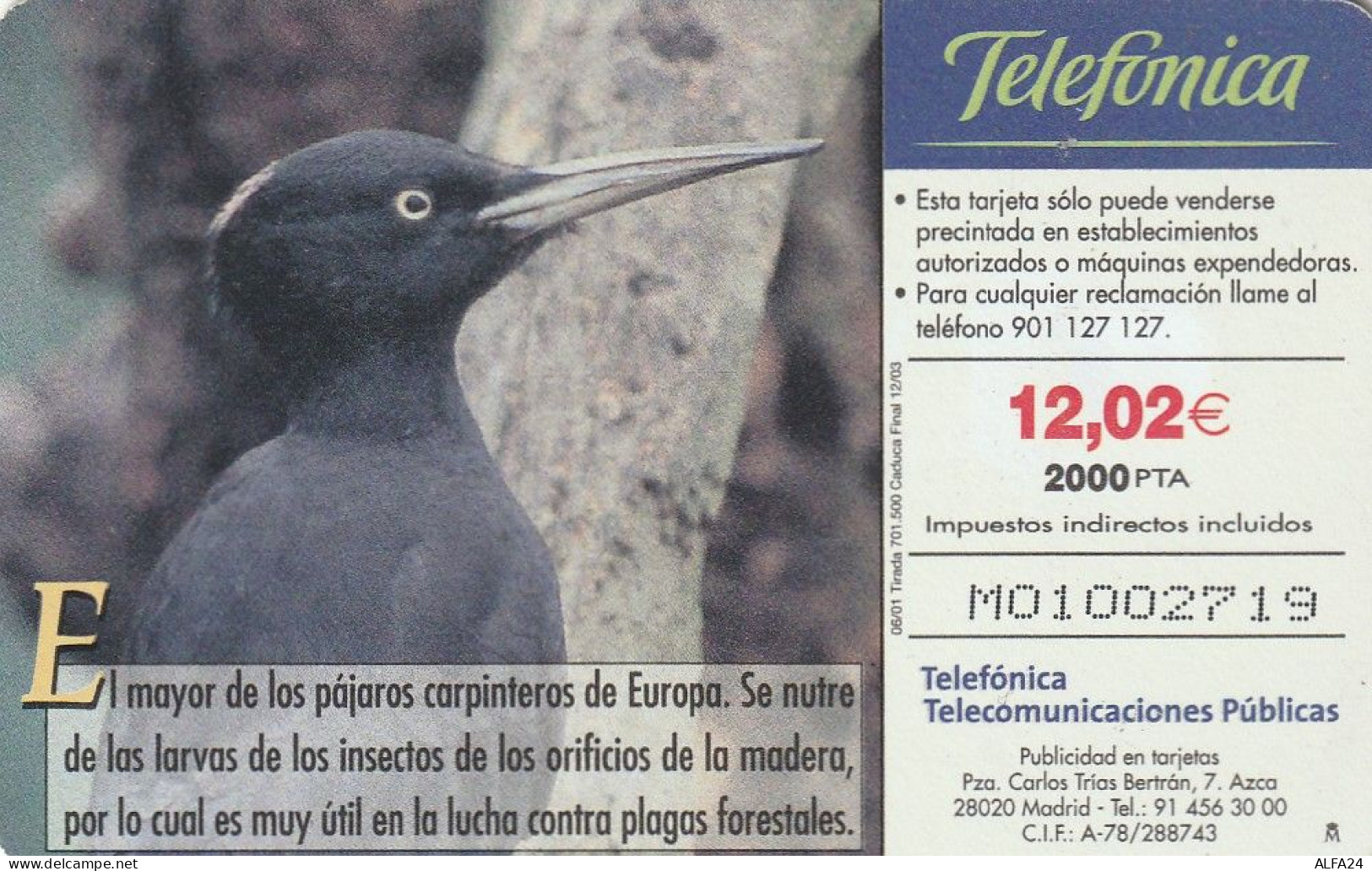 PHONE CARD SPAGNA FAUNA IBERICA  (CV6890 - Emissions Basiques