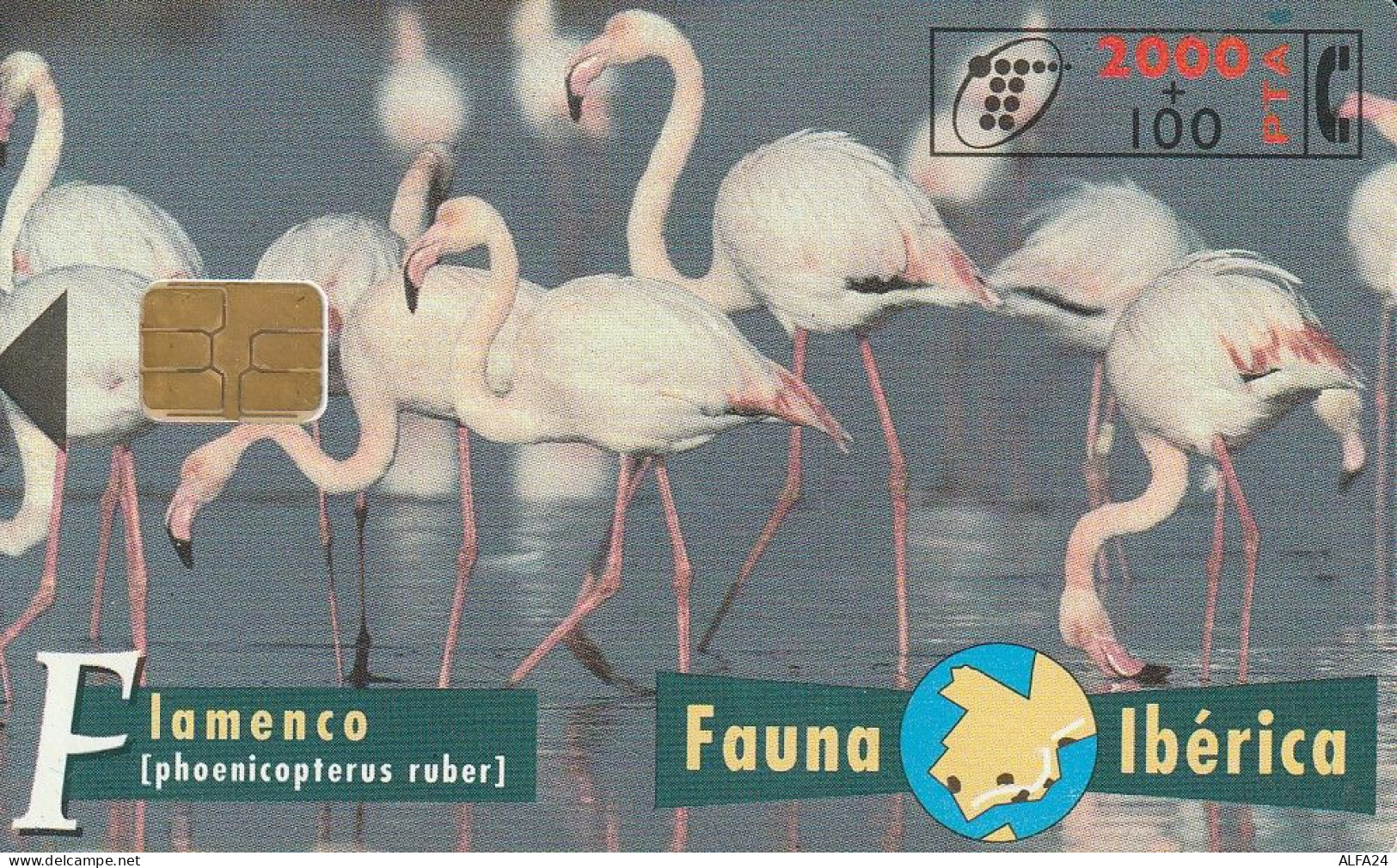 PHONE CARD SPAGNA FAUNA IBERICA  (CV6885 - Emissions Basiques