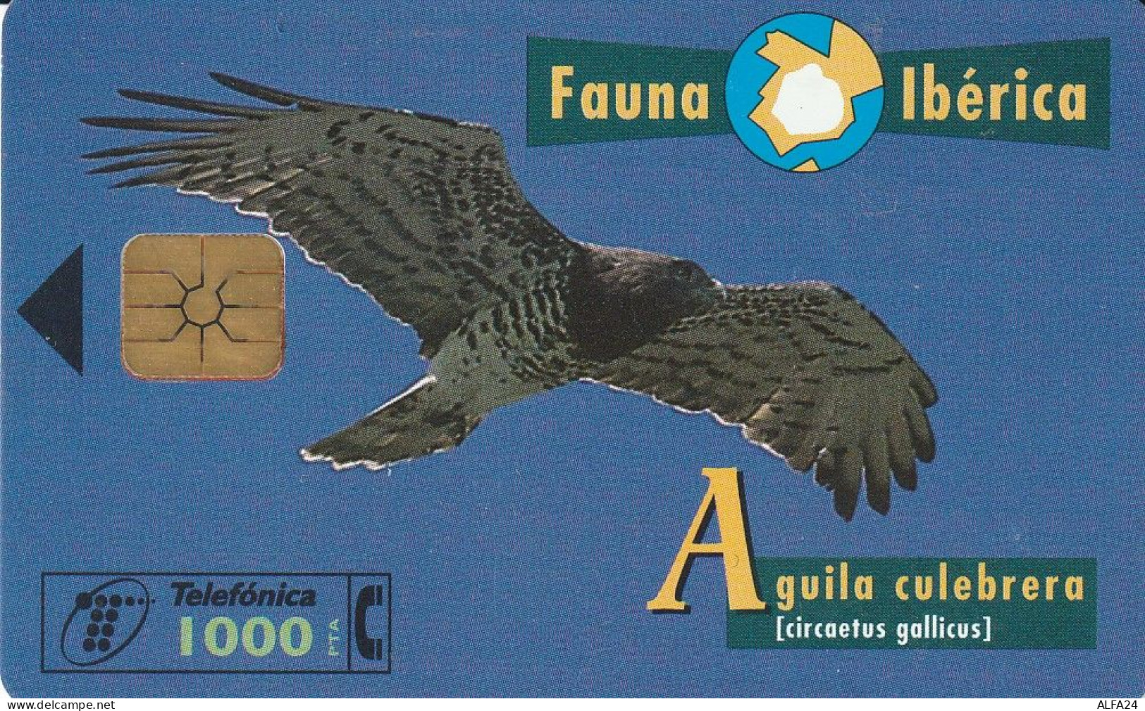 PHONE CARD SPAGNA FAUNA IBERICA  (CV6886 - Emisiones Básicas