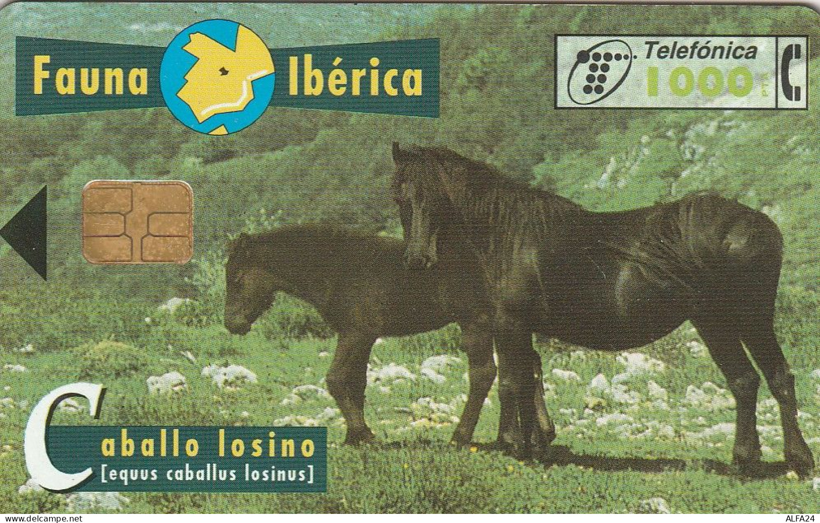 PHONE CARD SPAGNA FAUNA IBERICA (CV6883 - Emissions Basiques