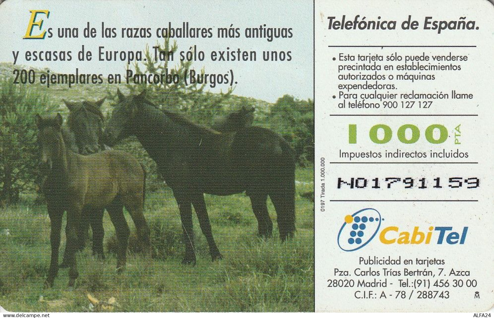 PHONE CARD SPAGNA FAUNA IBERICA (CV6883 - Emissioni Di Base