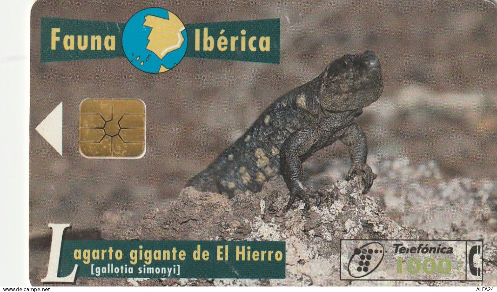 PHONE CARD SPAGNA FAUNA IBERICA  (CV6924 - Emissioni Di Base