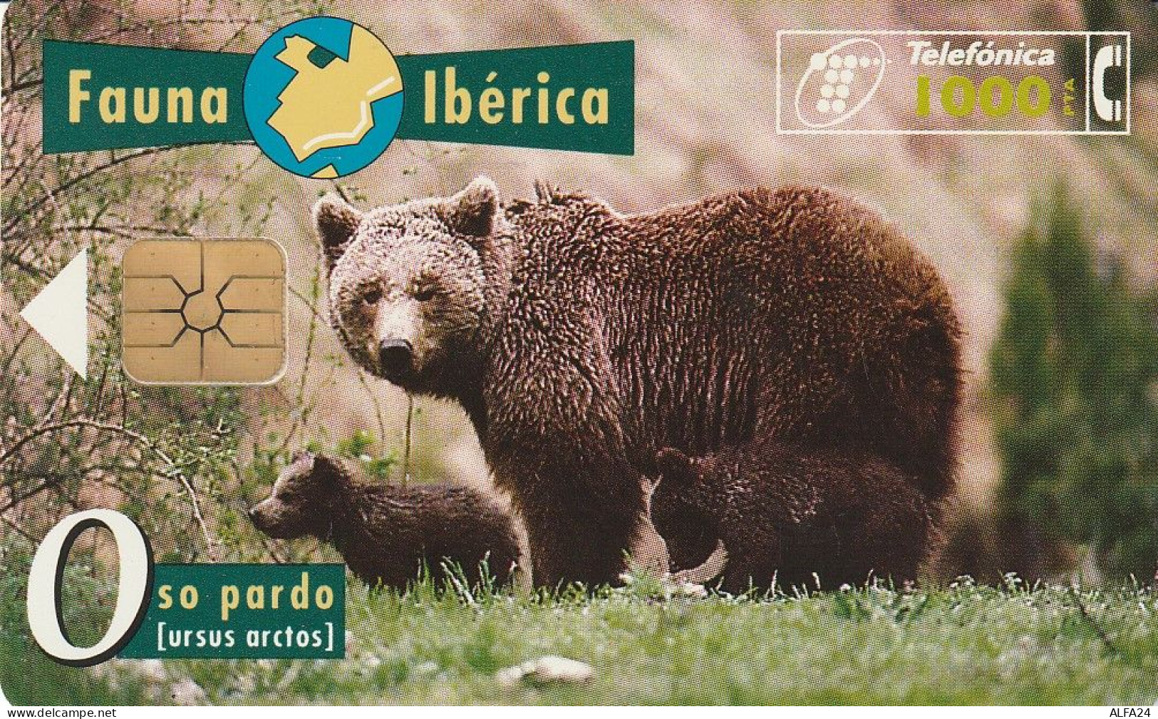 PHONE CARD SPAGNA FAUNA IBERICA  (CV6894 - Emisiones Básicas