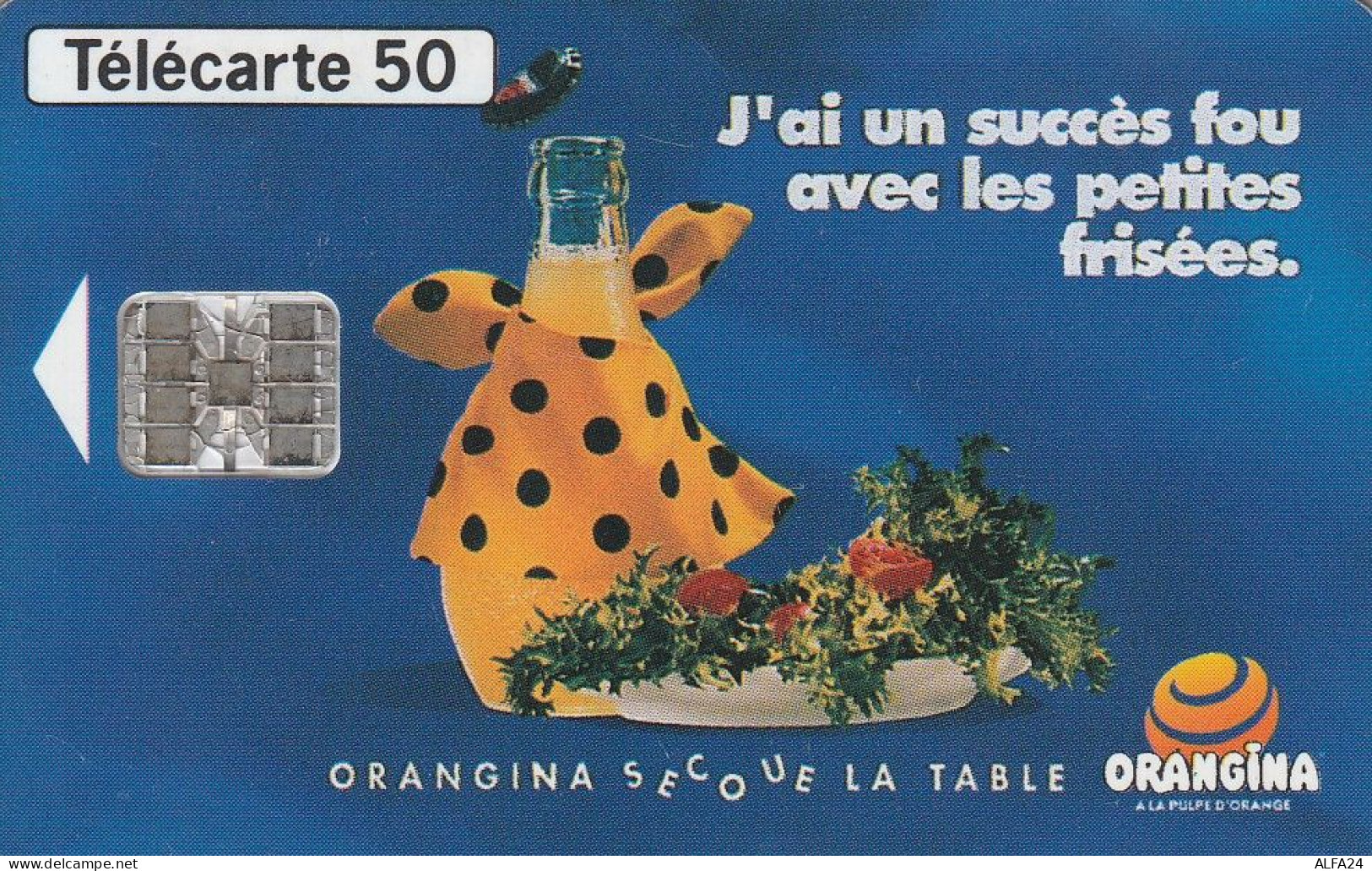 PHONE CARD FRANCIA 1993 (CV6753 - 1993