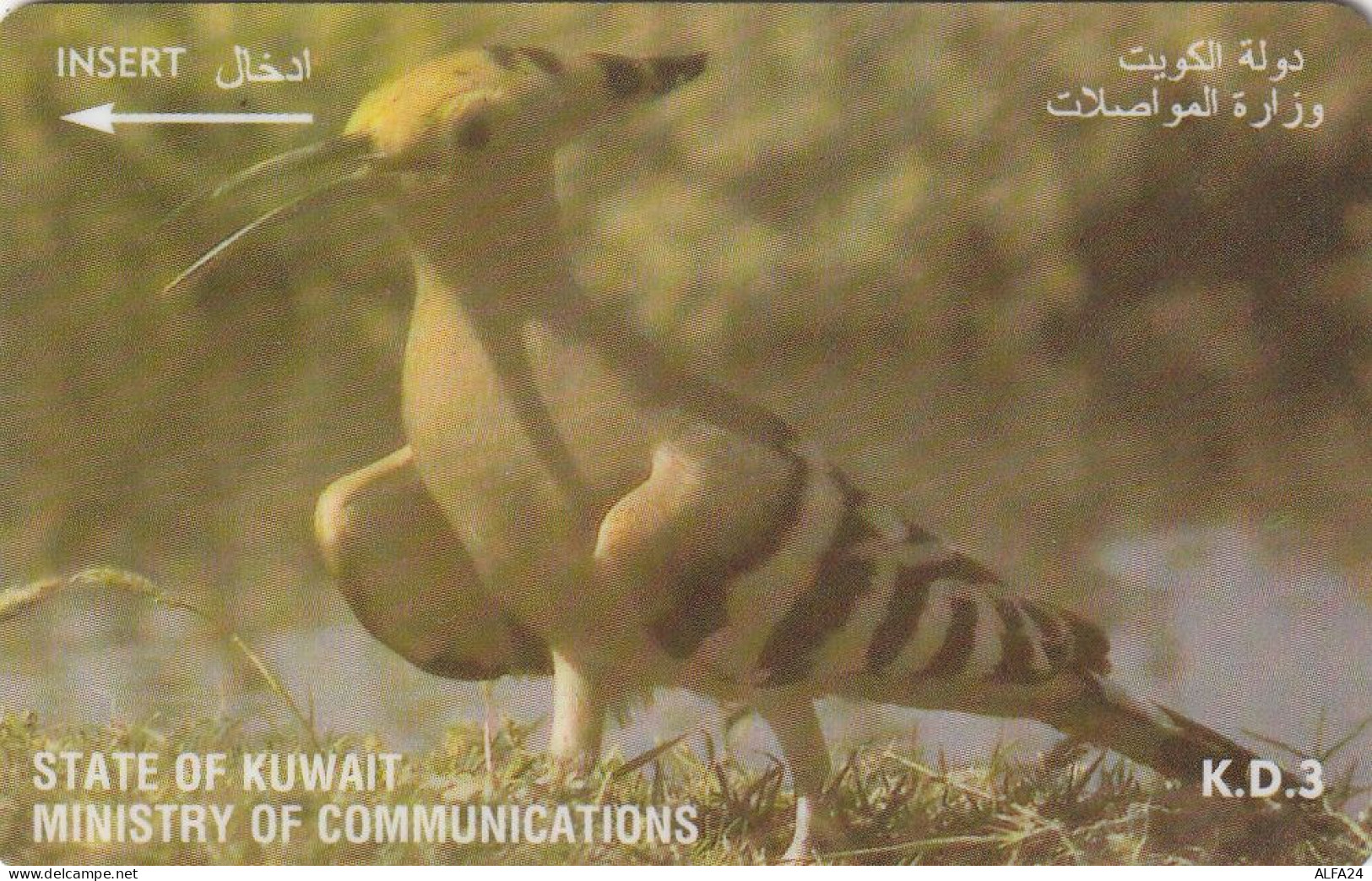 PHONE CARD KUWAIT  (CV6770 - Kuwait