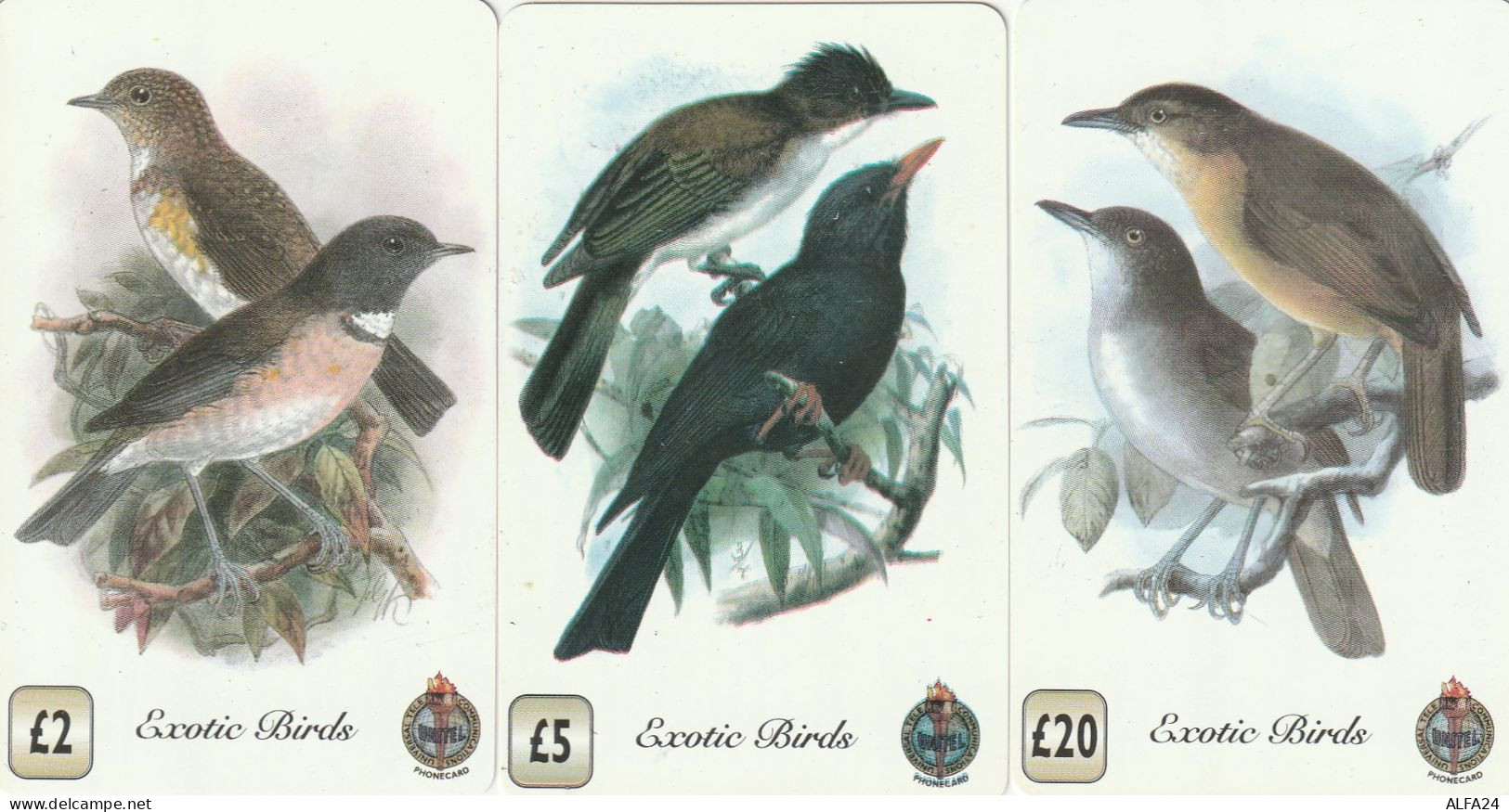 3 PREPAID PHONE CARDS UCCELLI (CV5575 - Songbirds & Tree Dwellers