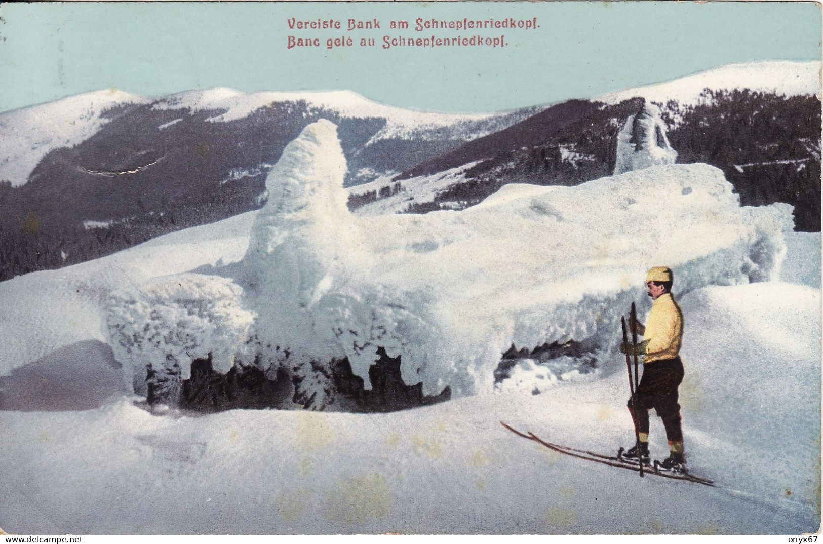 Banc Gelé Au SCHNEPFENRIEDKOPF-Vallée Munster-68-Haut-Rhin-SKI-SKIEUR-SPORT D'HIVER-NEIGE - Wintersport