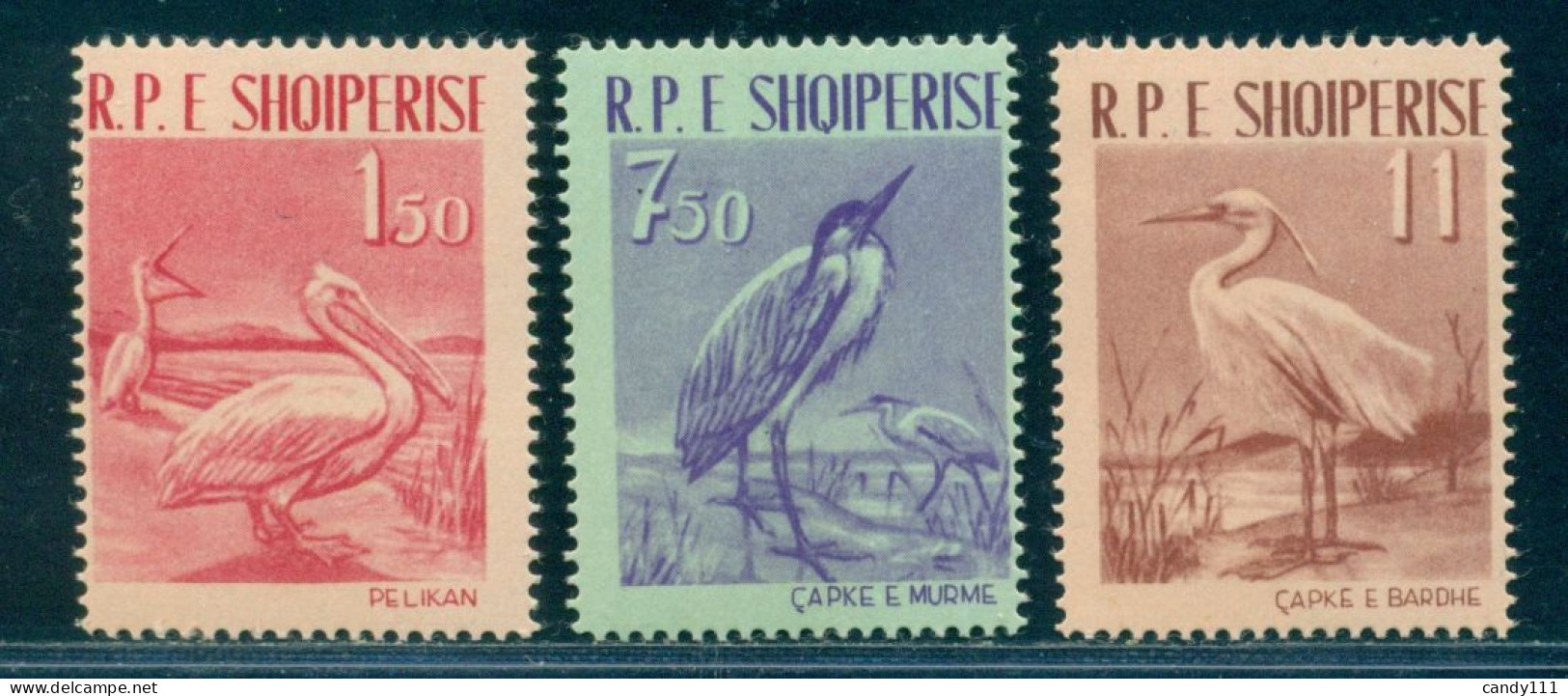1961 Birds,Dalmatian Pelican,Grey Heron,Little Egret,Albania,Mi.630,MNH - Pelícanos