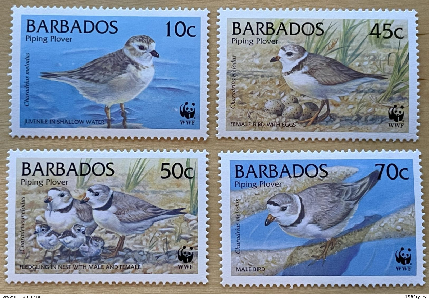 BARBADOS - MNH** - 1999 - # 963/966 - Barbados (1966-...)