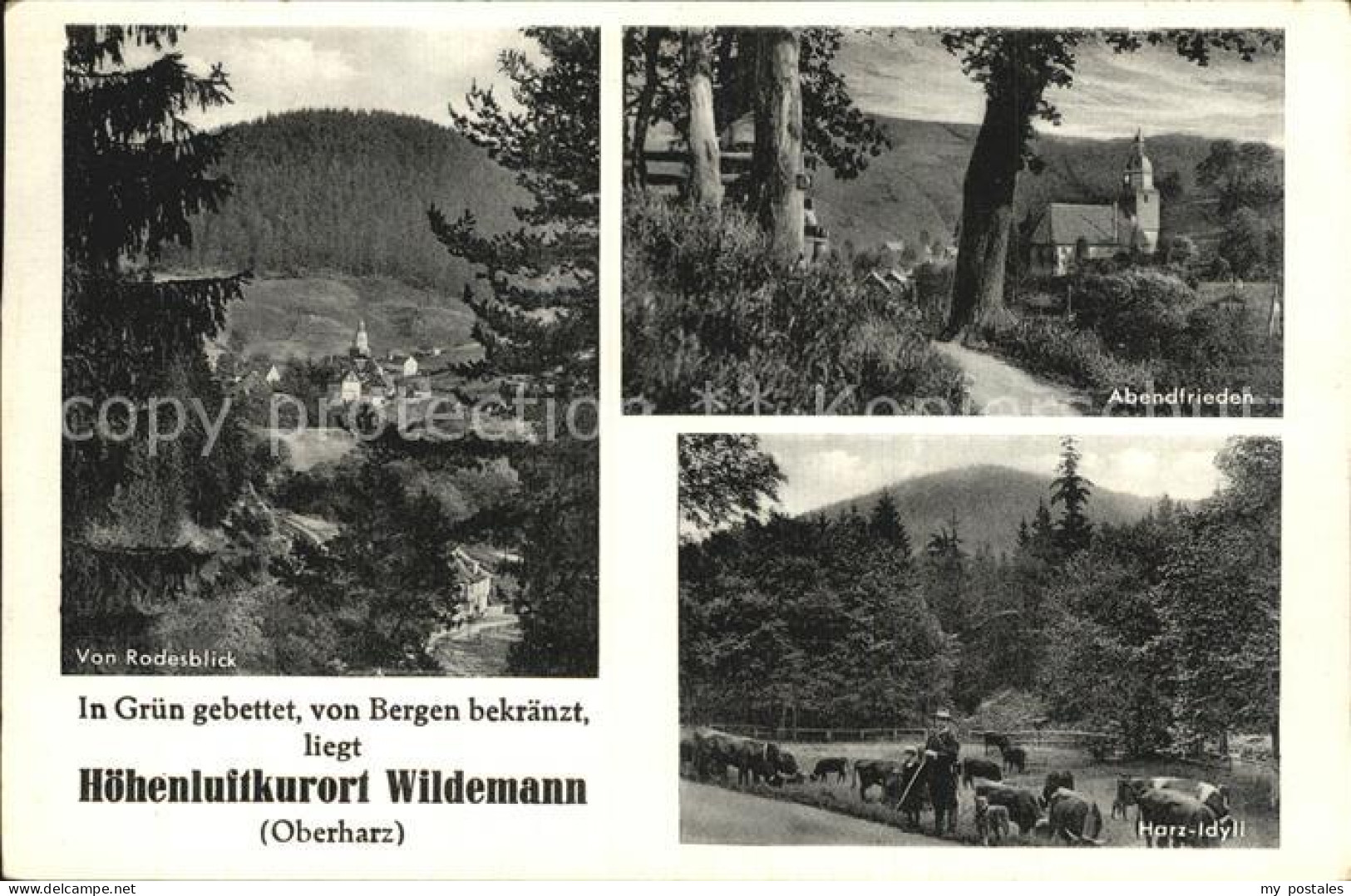 42594984 Wildemann Hoehenluftkurort Abendfrieden Harz Idyll Wildemann Harz - Wildemann