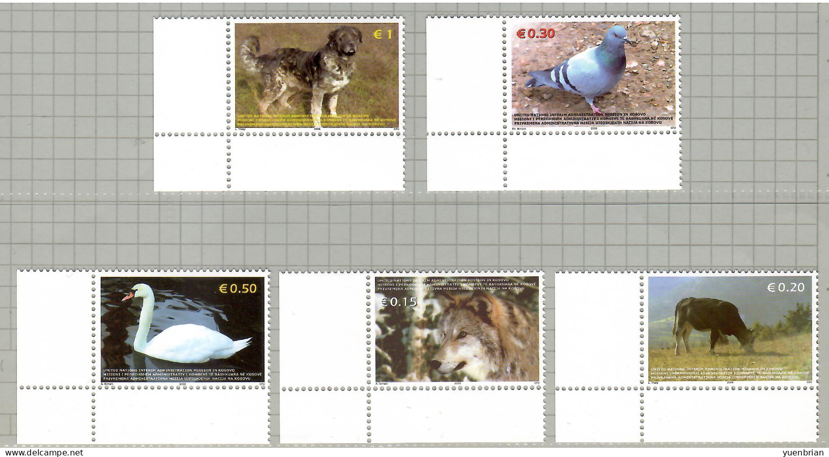 Kosovo 2006, Bird, Birds, Swan, Set  Of 5v, MNH** - Schwäne