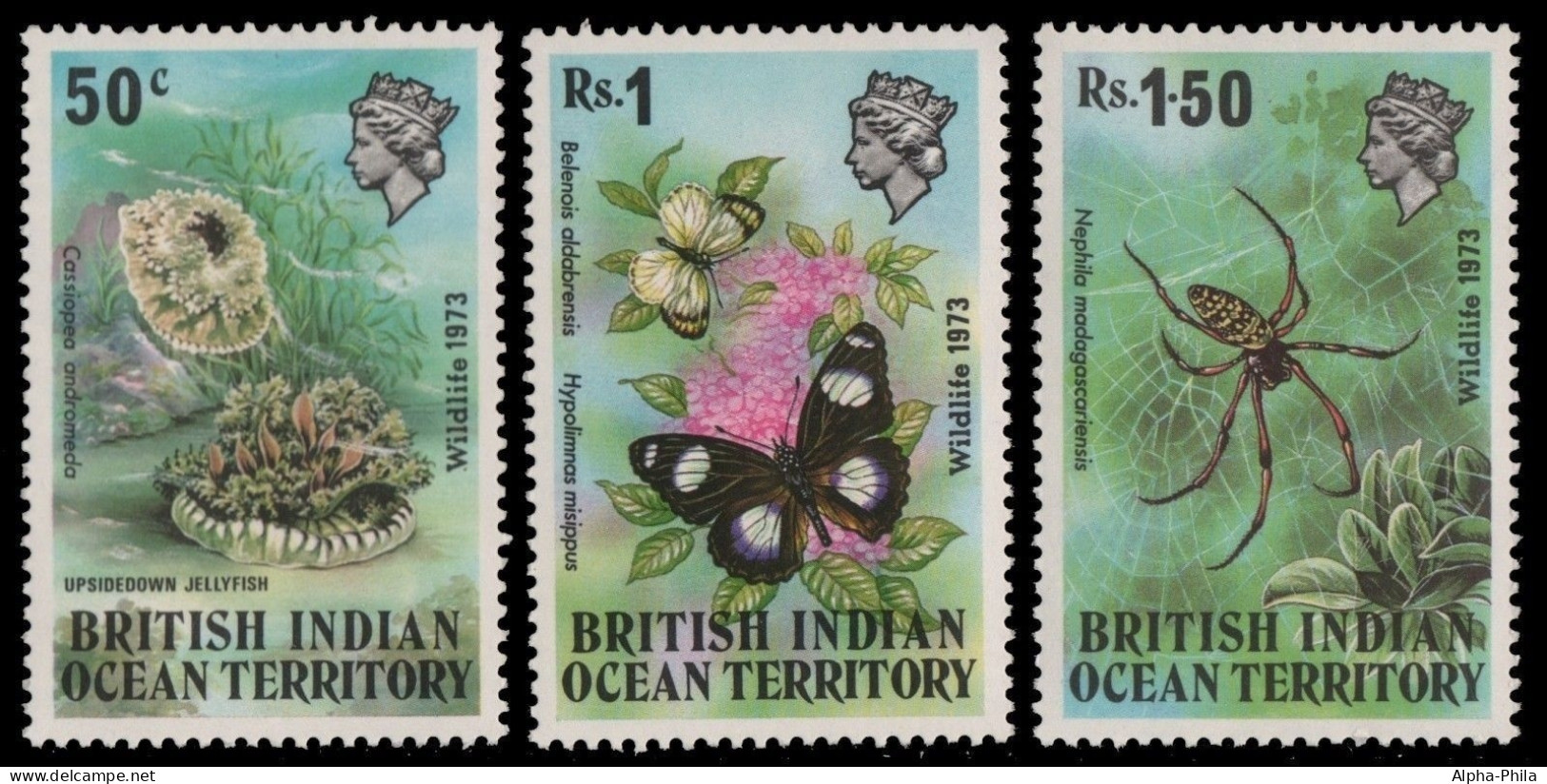 BIOT 1973 - Mi-Nr. 54-56 ** - MNH - Fauna - Britisches Territorium Im Indischen Ozean