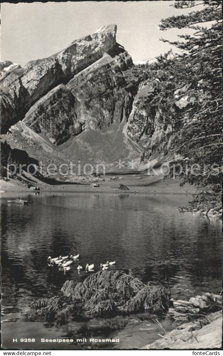 11669742 Seealpsee Mit Rossmad Seealpsee - Altri & Non Classificati