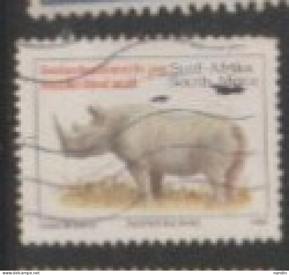 1976 SOUTH AFRICA STAMP (USED) On Endangered Wildlife /Fauna/Mammals /Diceros Bicornis/, Black Rhinoceros - Rhinocéros