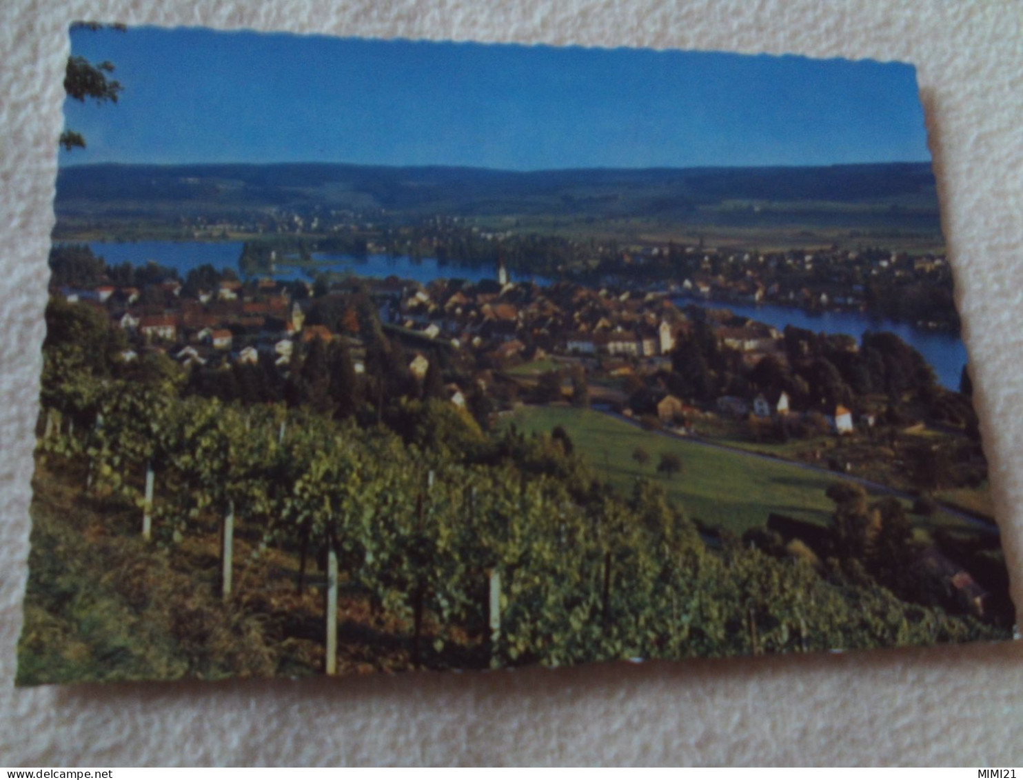 BELLES VUES ...VIGNES..VILLAGE ET FLEUVE ..."STEIN AM RHEIN" - Stein Am Rhein