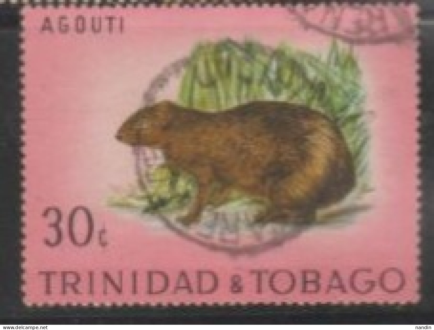 1971TRINIDAD & TOBAGO  STAMP (USED) On WILDLIFE/Dasyprocta Aguti. - Roedores
