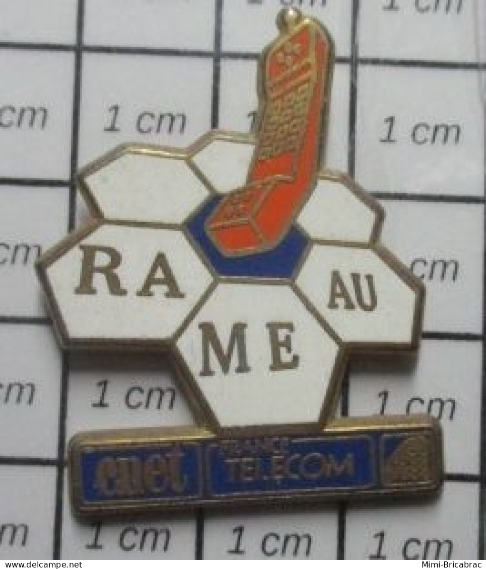 619 Pin's Pins / Beau Et Rare / FRANCE TELECOM / Doré Or Fin 24 Cts RAMEAU TELEPHONE ORANGE HEXAGONES - Telecom De Francia