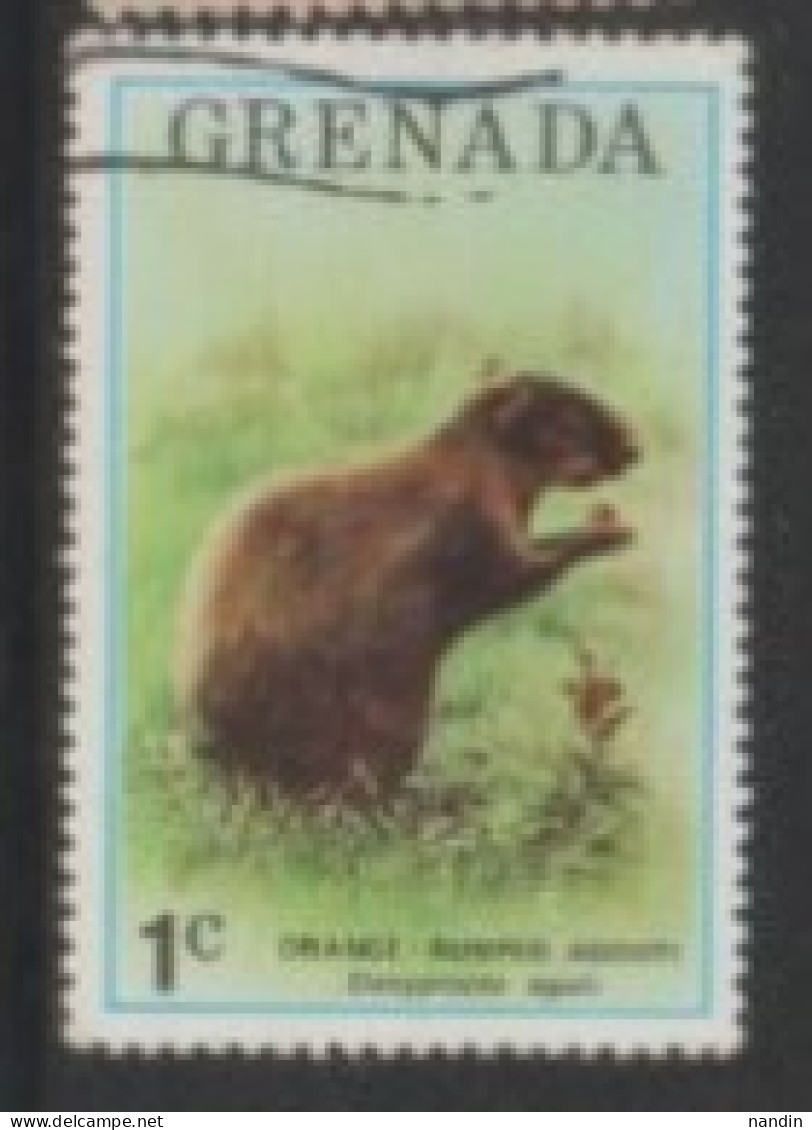 1976  GRENEDA STAMP (USED) On WILD LIFE/Dasyprocta Aguti/Red-rumped Agouti - Roedores