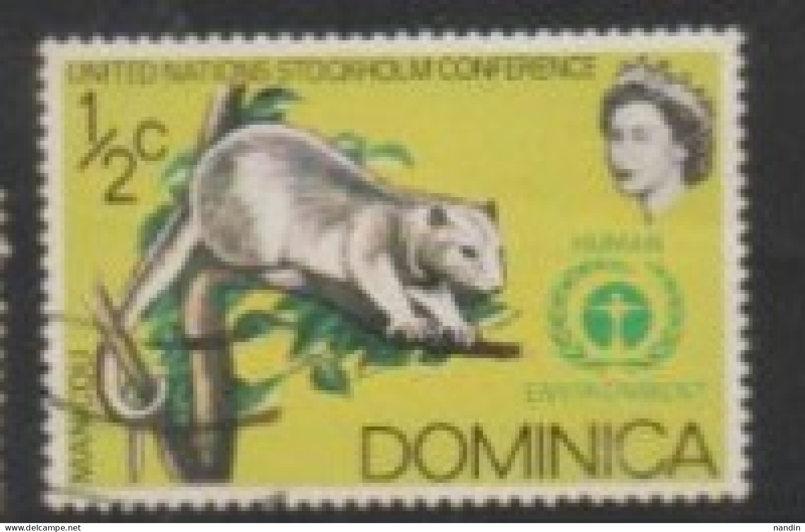 1972  DOMINICA STAMP (USED) On WILD LIFE/Didelphis Marsupialis,The Common Opossum(issued OnConference On The Human Envir - Rongeurs