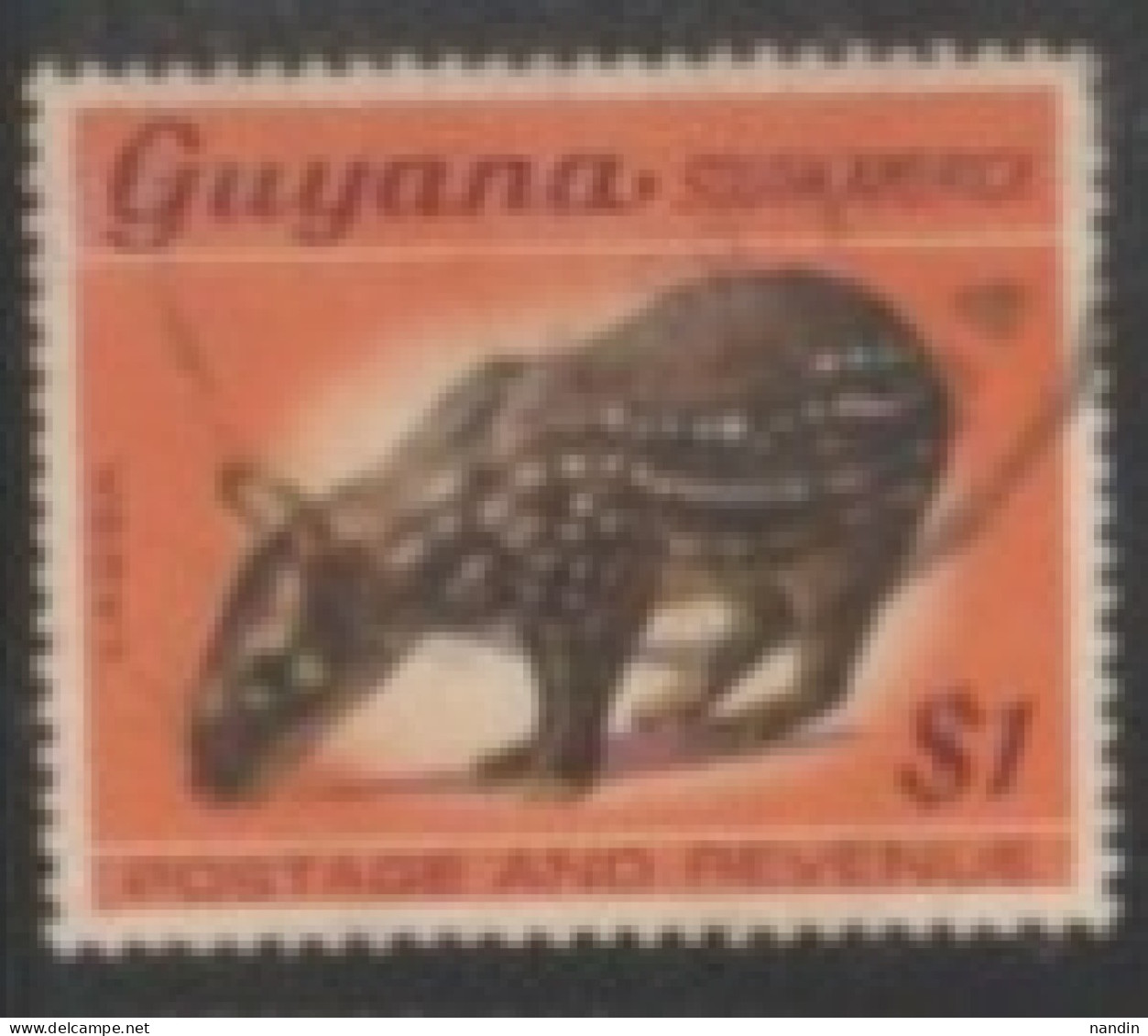 1968 GUYANA STAMP (USED) On Wildlife/Cuniculus Paca/Lowland Paca - Rodents