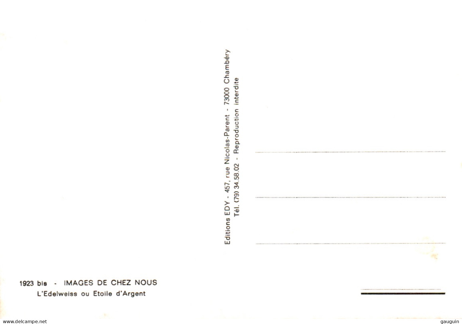 CPM - FLEURS Des ALPES - Edelweiss Ou Etoile D'Argent ... Edition Edy - Rhône-Alpes