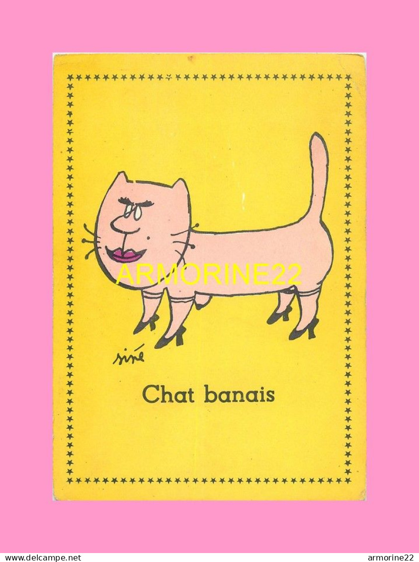 CPM    CHAT BANAIS  Dessin De Siné - Sine