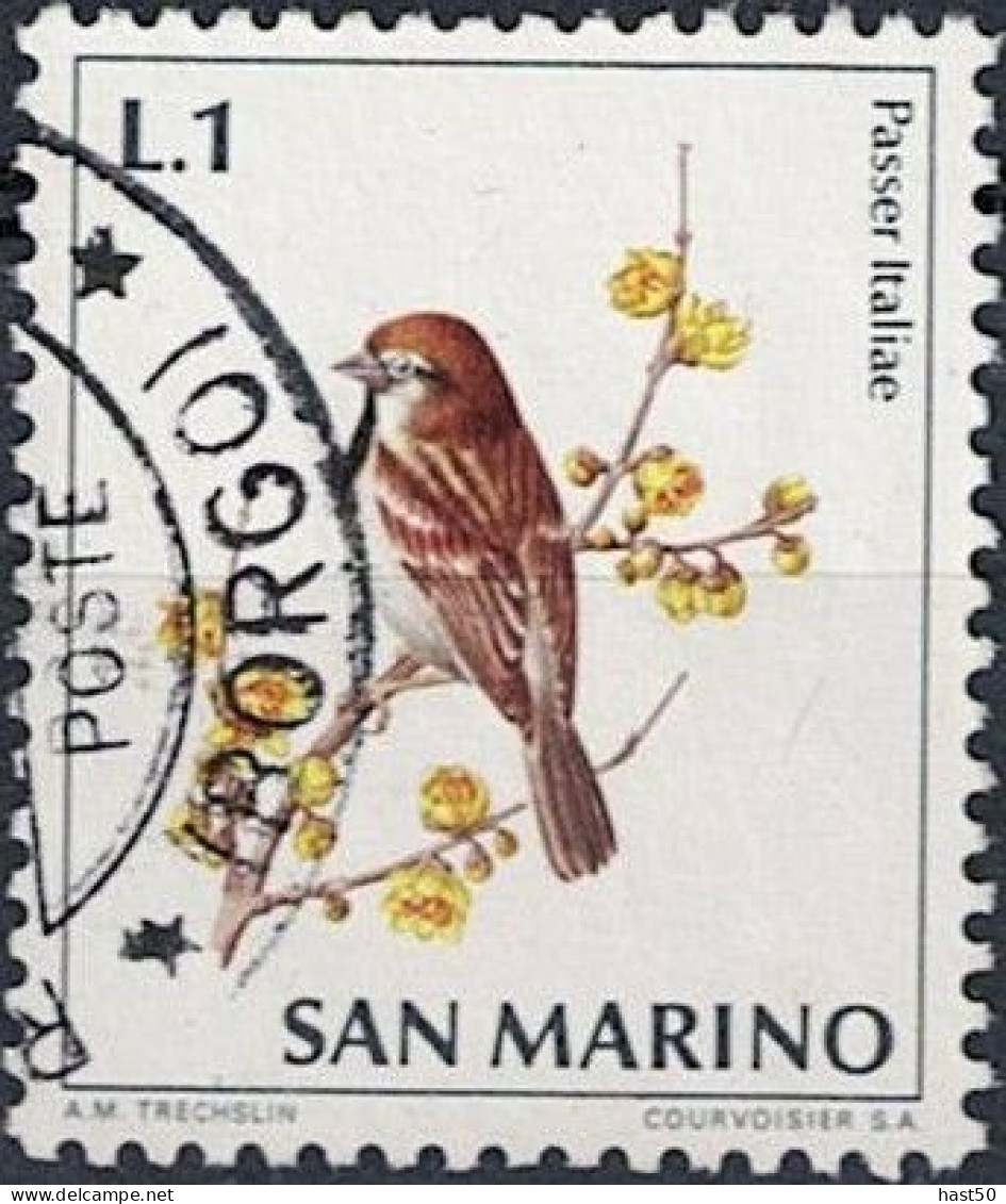 San Marino - Italiensperling (Passer Italiae) (MiNr: 1003) 1972 - Gest Used Obl - Gebraucht