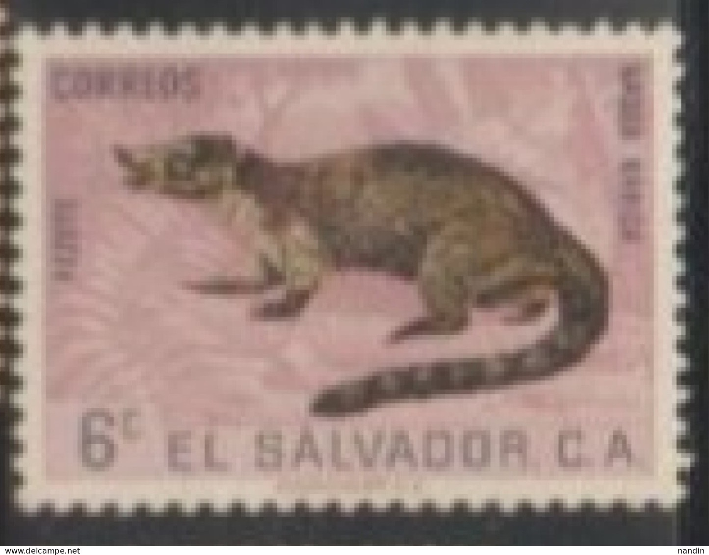 1963 EL SAVADOR STAMP USED On Wild Life/	Nasau Narica/White-nosed Coati - Rongeurs
