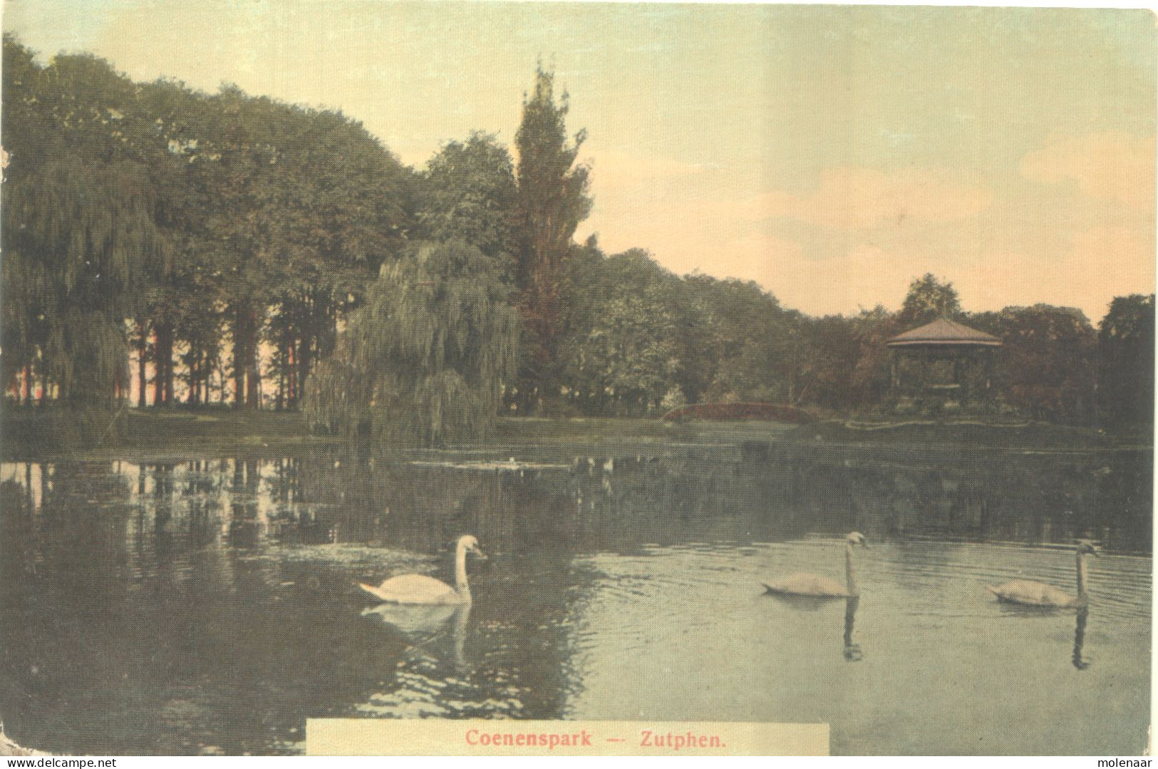 Postkaarten > Europa > Nederland > Gelderland > Zutphen Coenenspark Gebruikt 1911 (13256) - Zutphen