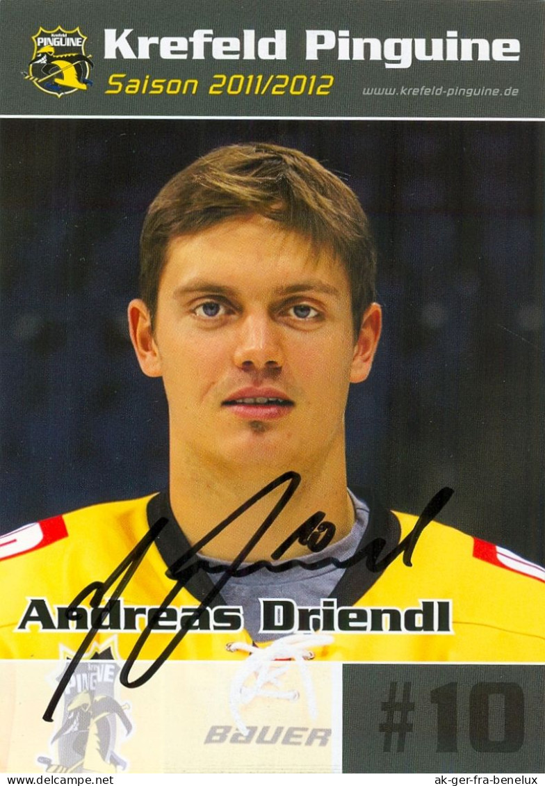 Autogramm Eishockey AK Andreas Andi Driendl Krefeld Pinguine 11-12 Schongau Füssen Allgäu Hamburg Freezers Ravensburg - Sports D'hiver