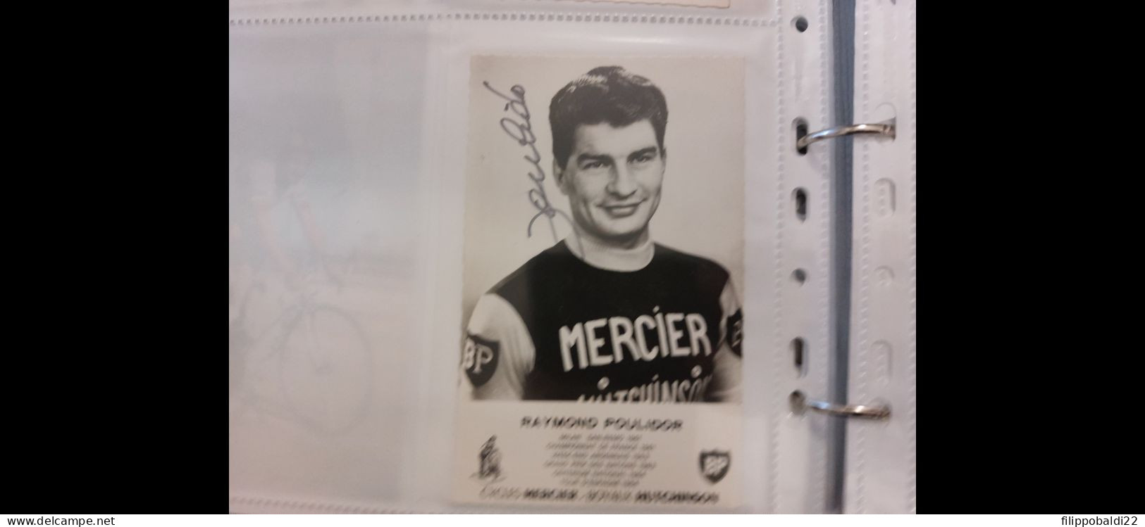 Raymond Poulidor 10x15 Autografo Autograph Signed - Cyclisme
