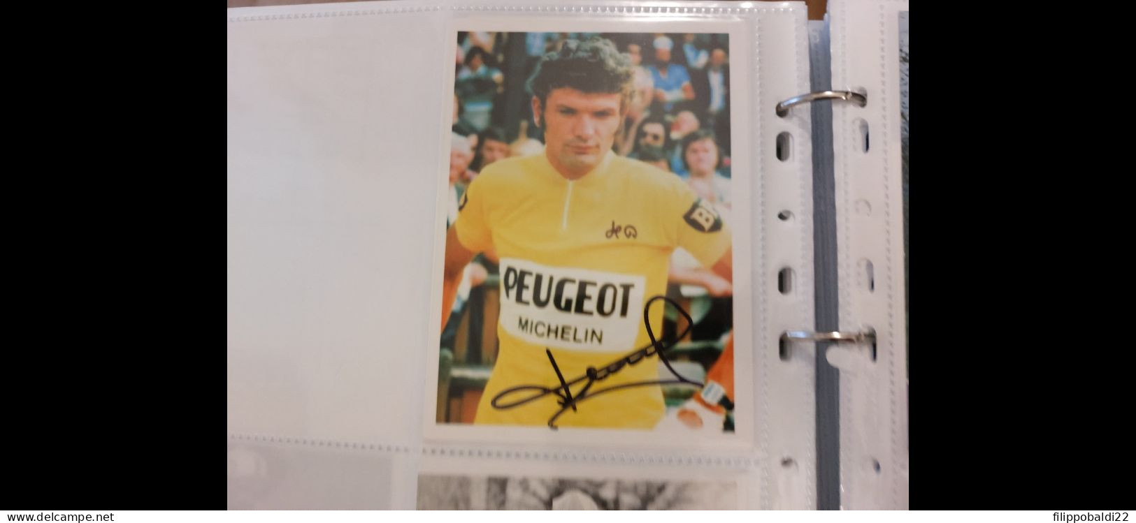 Bernard Thévenet 10x15 Autografo Autograph Signed - Cyclisme