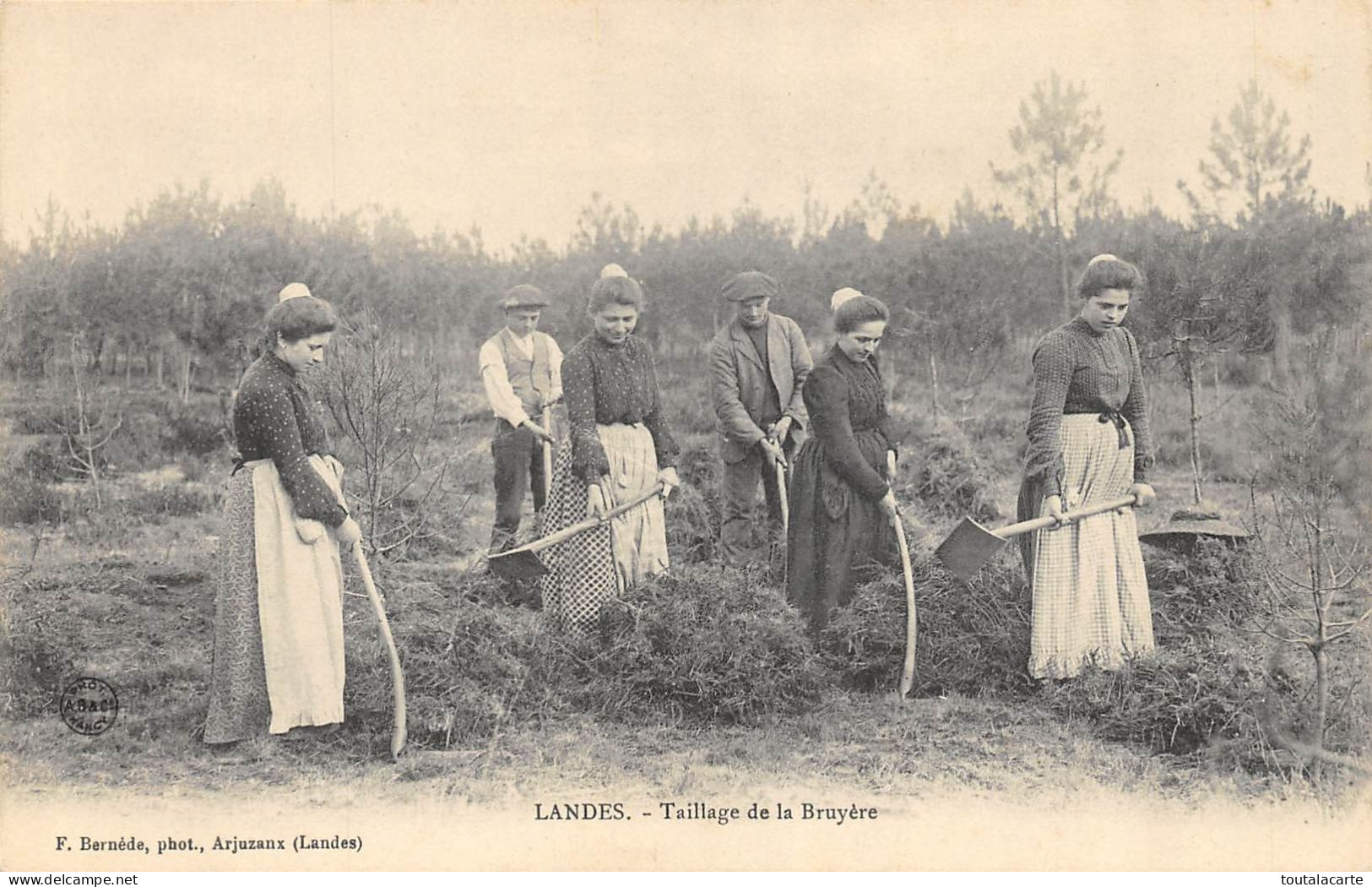 CPA 40 LANDES TAILLAGE DE LA BRUYERE - Altri & Non Classificati