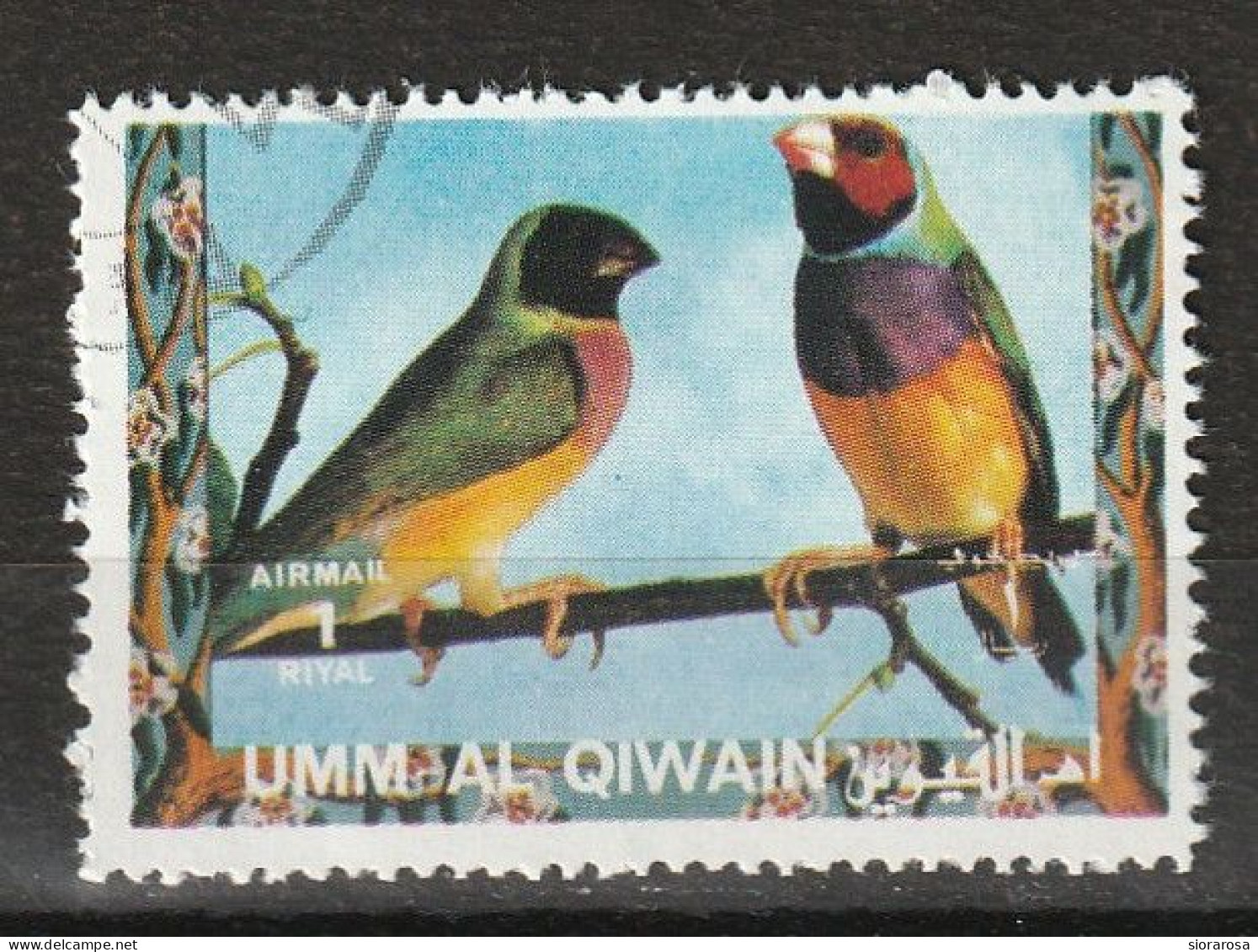 Umm Al Qiwain 1972  Uccelli Birds - Fringuello Di Gould - Gouldian Finch (Chloebia Gouldiae) CTO - Spatzen