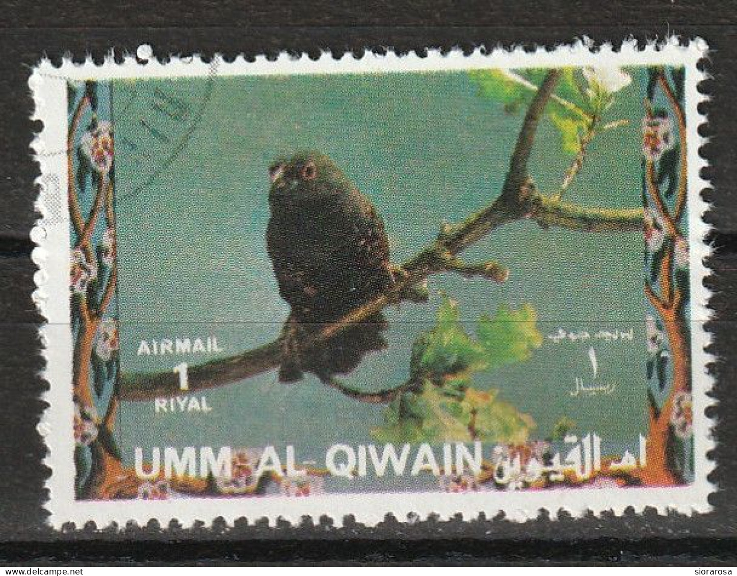 Umm Al Qiwain 1972  Uccelli Birds - Dusky Twinspot (Euschistospiza Cinereovinacea) CTO - Mussen