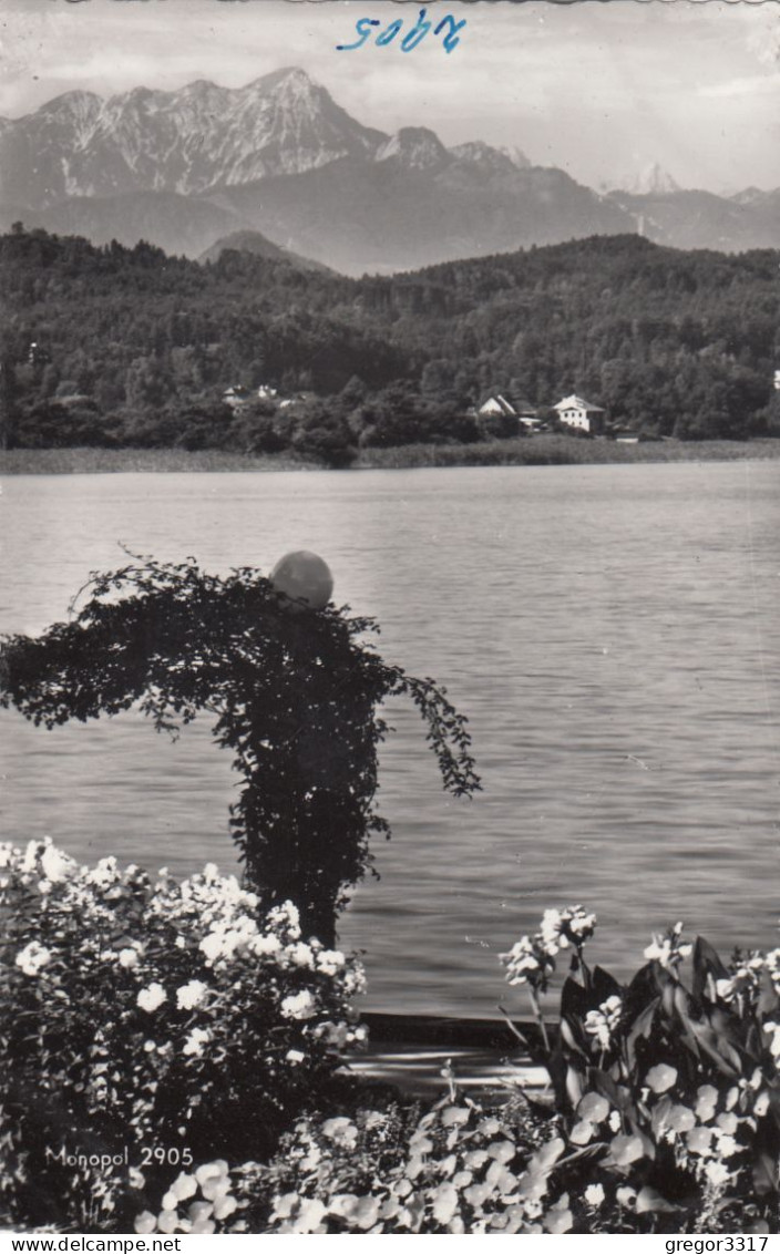 E916) PÖRTSCHACH Am Wörthersee - Kärnten - Blumenpromenade Gegen Mittagskogel - Schöne Alte S/W FOTO AK - Pörtschach