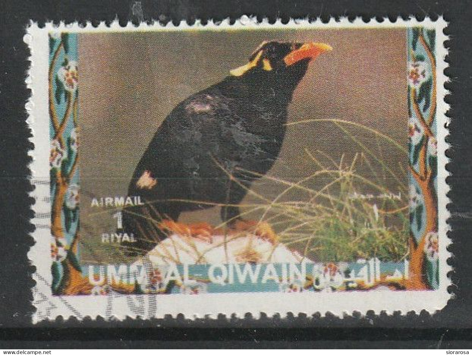 Umm Al Qiwain 1972  Uccelli Birds - Southern Hill Myna (Gracula Indica) CTO - Cernícalo