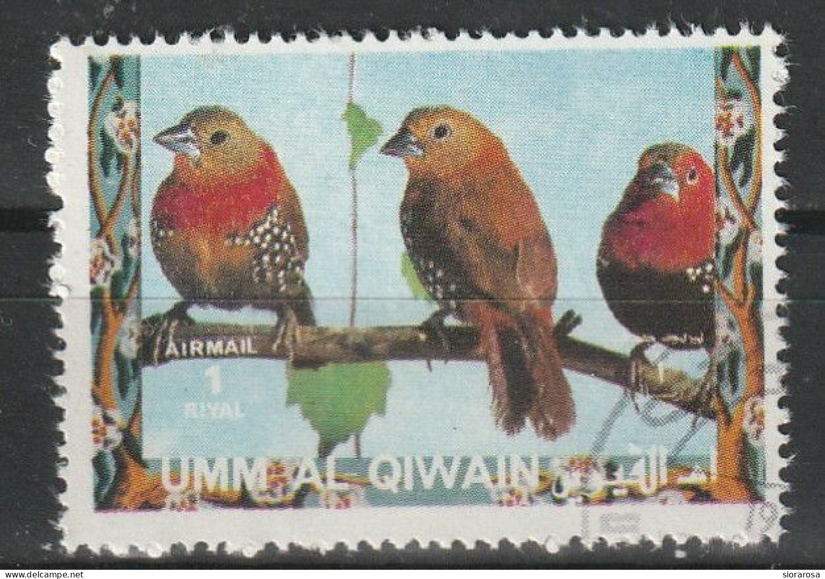 Umm Al Qiwain 1972  Uccelli Birds - Red-throated Twinspot (Hypargos Niveoguttatus) CTO - Mussen