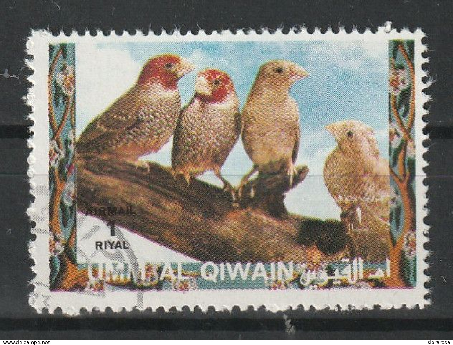Umm Al Qiwain 1972  Uccelli Birds -Fringuello Dalla Testarossa Red-headed Finch (Amadina Erythrocephala) CTO - Mussen