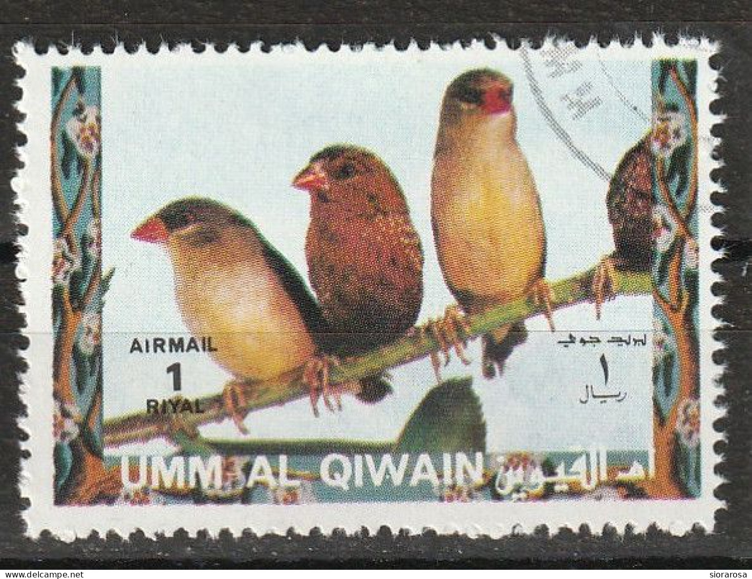 Umm Al Qiwain 1972  Uccelli Birds -Red Avadavat (Amandava Amandava) CTO - Moineaux