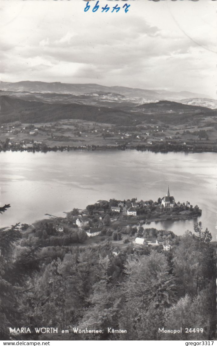 E925) MARIA WÖRTH Am WÖRTHERSEE - FOTO AK - Blick über Wald Auf Häuser Auf Halbinsel ALT ! - Maria Wörth